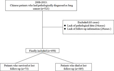 Multivariate analysis of prognostic factors in patients with lung cancer